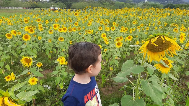 La Silvestre finca agroturistica