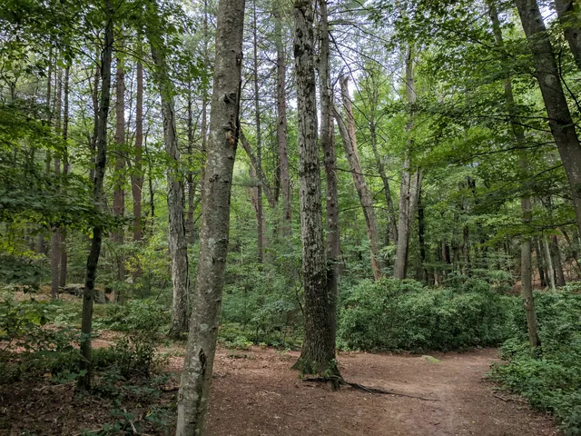 Wilson Mountain Reservation