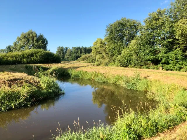 Natuurreservaat Zammelsbroek