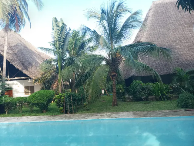 Elolam’s Residency