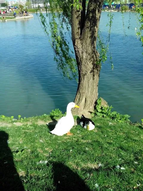 Bakirköy Botanik Park