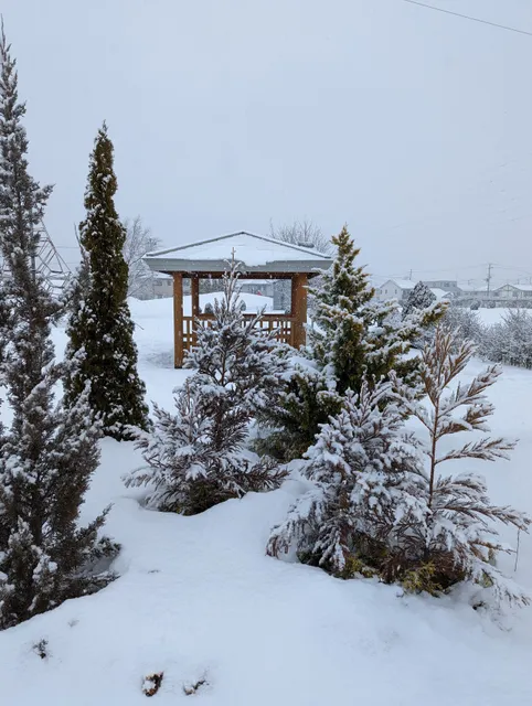 Shimokazuma-kita Kinrin Park