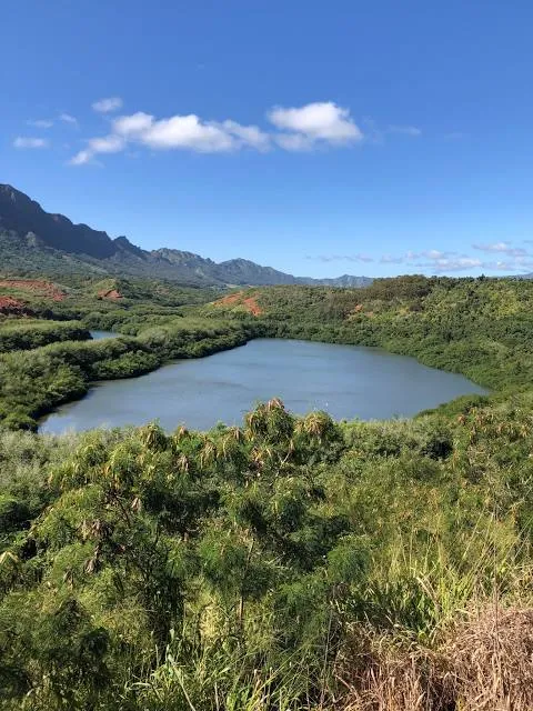 Menehune Fishpond Overlook