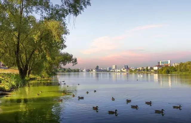 Lagoa Paulino