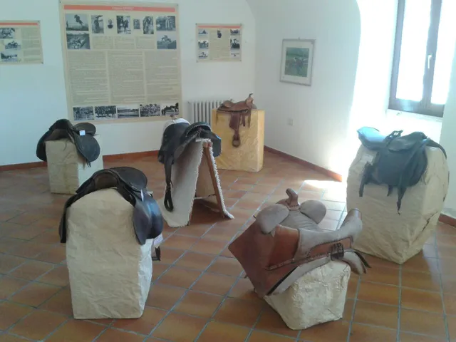 Museo del Cavallo