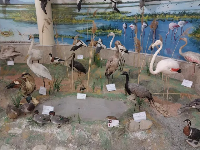 Natural History Museum