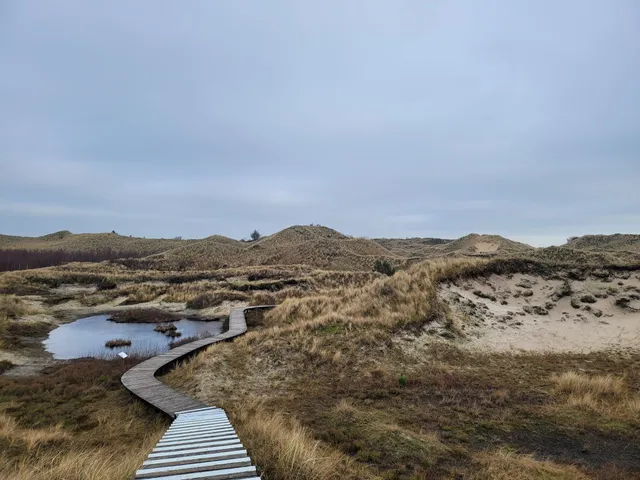 Bohlenwege von Wittdün