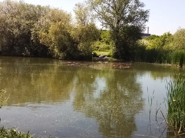 Eastbrookend Country Park