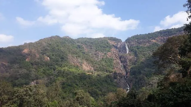 Kattery Water Falls