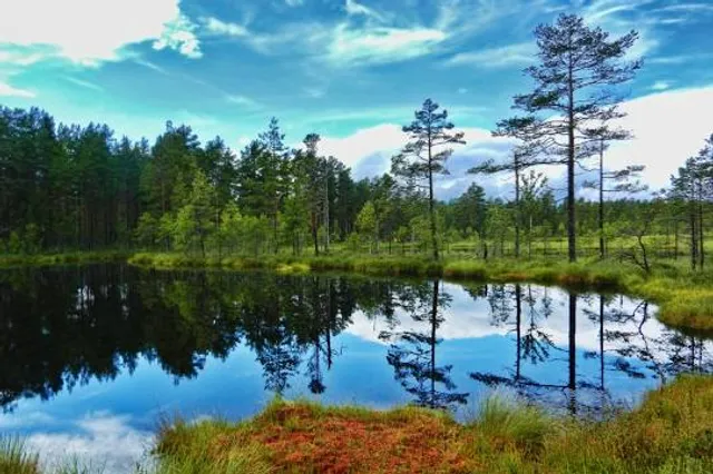 Knuthöjdsmossen nature reserve