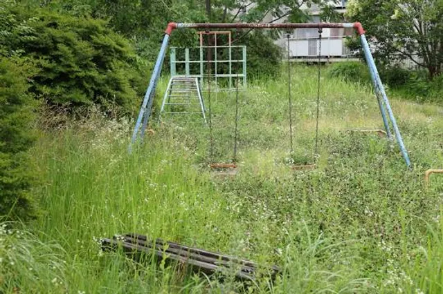 New York, Texas ZipLine Adventures