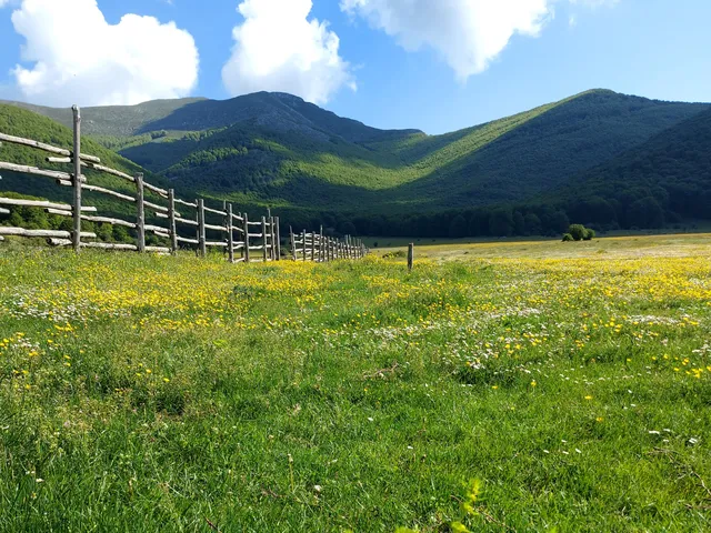 Area Pic-Nic Prato di Campoli