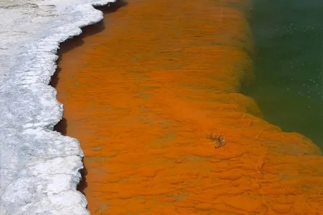 Atal Bihari Vajpayee Udyan