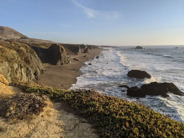 Sonoma Coast Vineyards