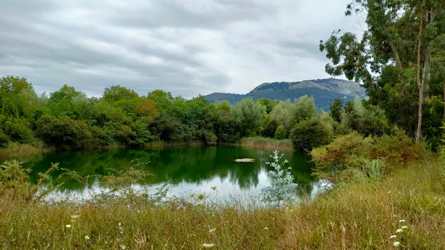 Pozón de la Yesera (Anillo Verde de la Bahía de Santander)