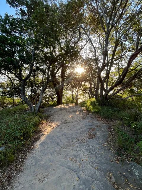 photo-3