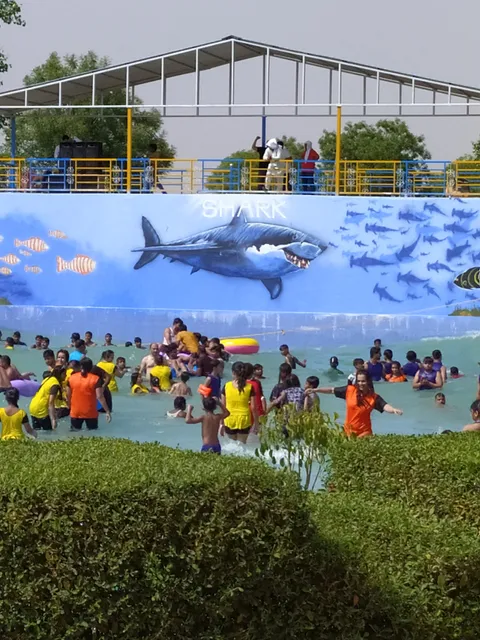 Shark The Water World