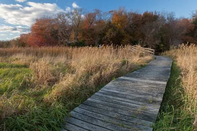 Mass Audubon's Daniel Webster Wildlife Sanctuary