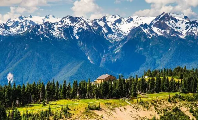 Hurricane Ridge