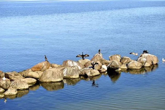 Piedras y Pájaros Park