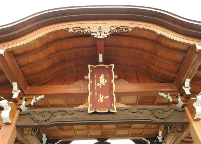 photo-1