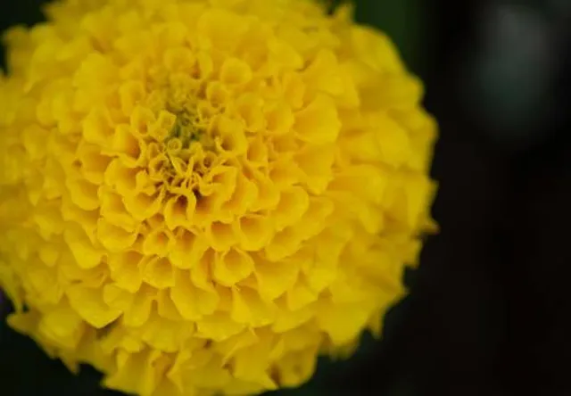 TWA Flight 800 International Memorial and Gardens