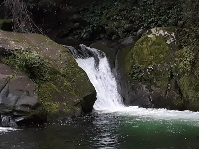 Dungog Shire Council