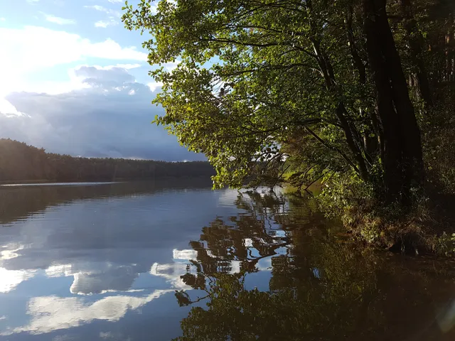 Rezerwat przyrody wielkopolska dolina Rurzycy