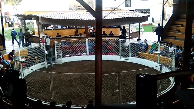 Círculo Gallístico del Perú