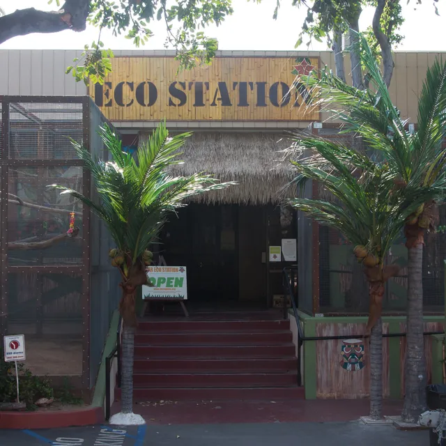 Star Eco Station