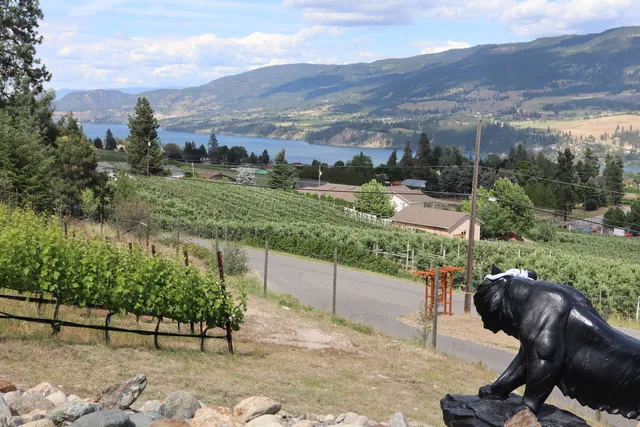 Blind Tiger Vineyards