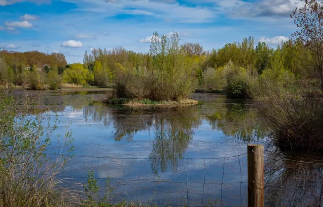 Humedal de Fuentes Blancas