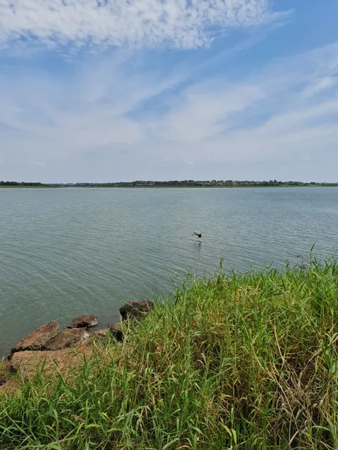 Ponte Rio Marinheiro