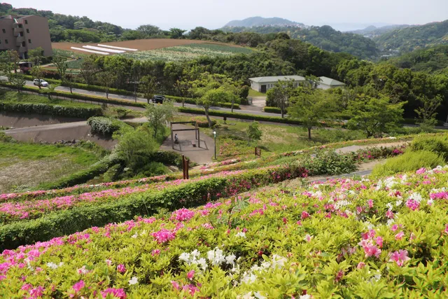 Shonan Village Green Park