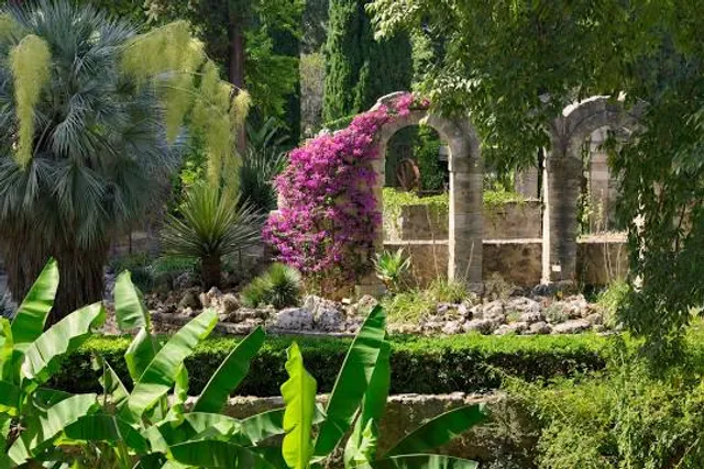 Jardin des plantes de Montpellier