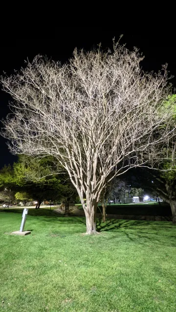 Denton Parks & Recreation