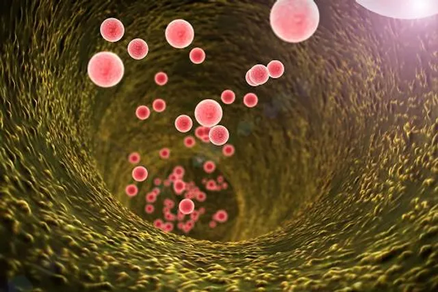 Museo CASA MACHIAVELLI