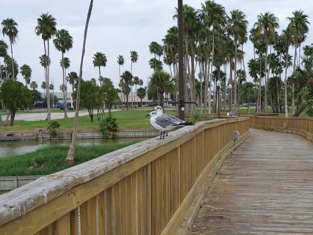 Texas Southmost College-Gorgas