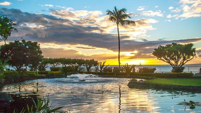 Maui Beachfront Rentals