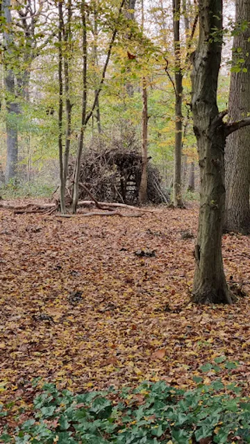 Foret de Saint-Germain