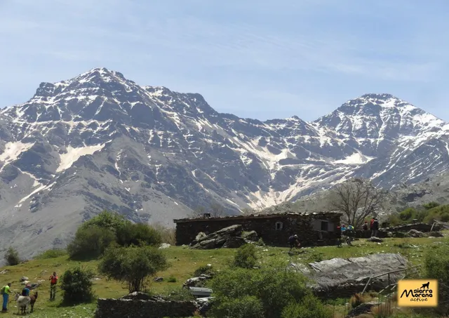 Sierra Morena Active