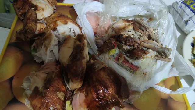 Pollos de la Tri - La Armenia