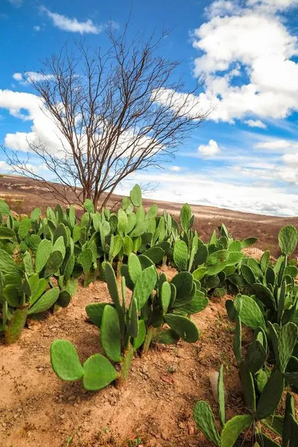 Mattool central beach