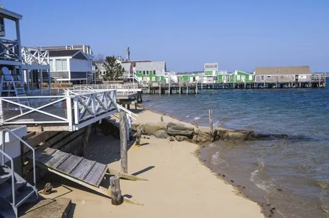 The Shacks Dining & Dog Park