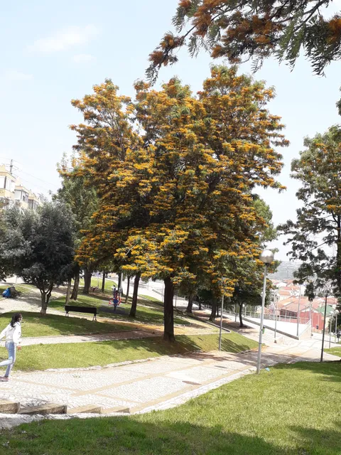 Jardim do Sol - Arroja