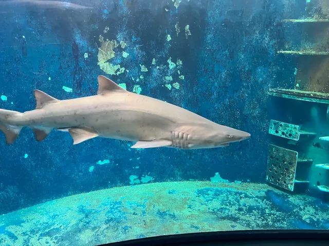 Grand Aquarium Saint Malo