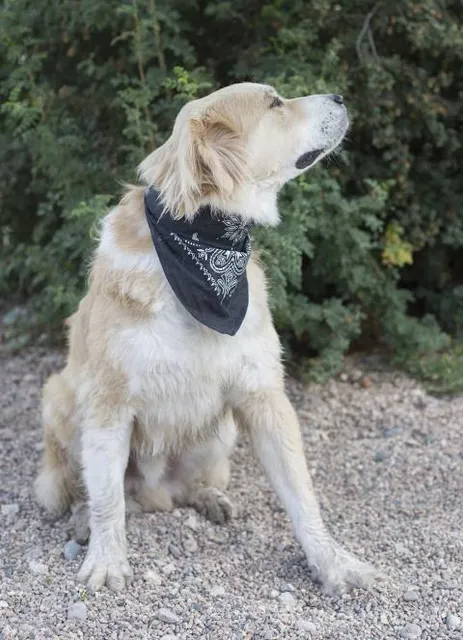 Botanical Garden Macea