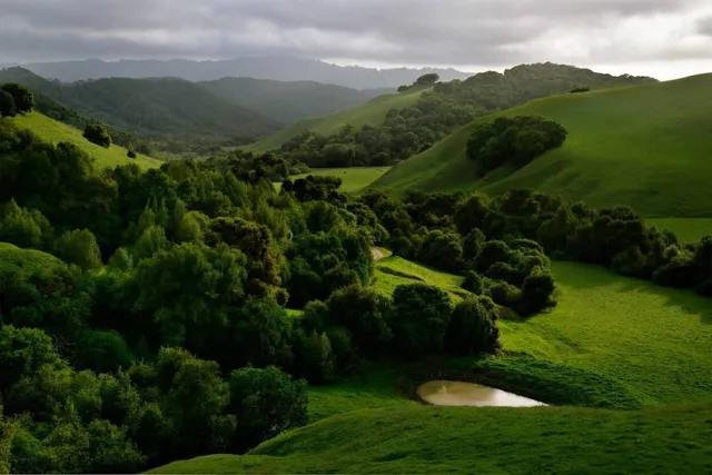 Briones Regional Park