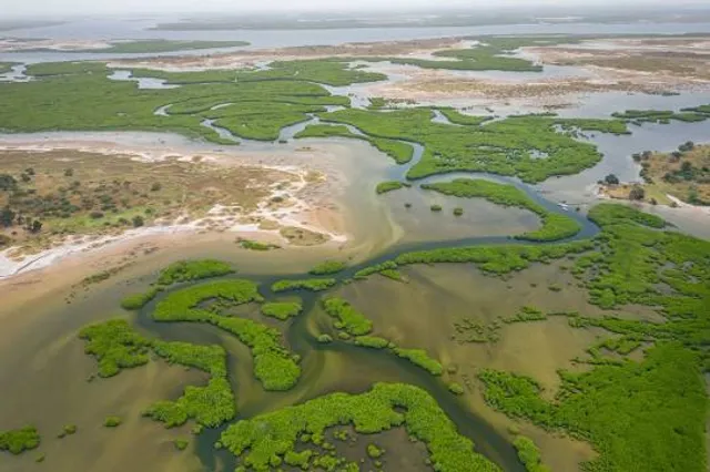 Saloum Delta National Park