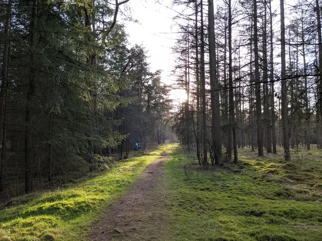 Naherholungsgebiet Lohner Sand